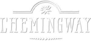 logo_big
